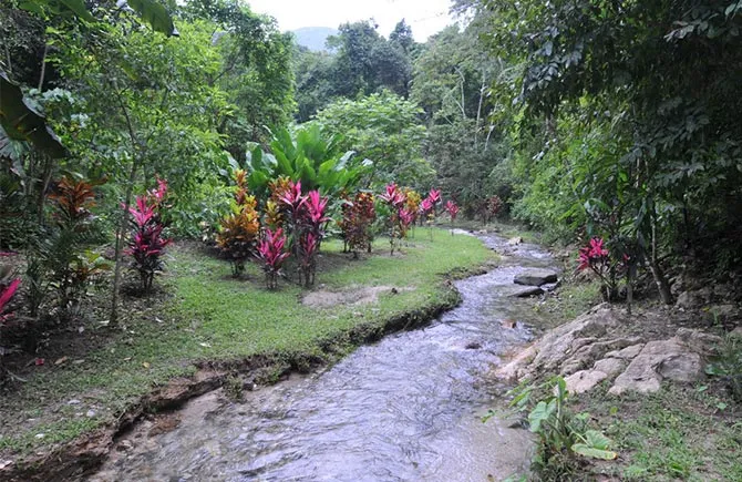 Hagia Sofía exotic plant ranch near Huatulco